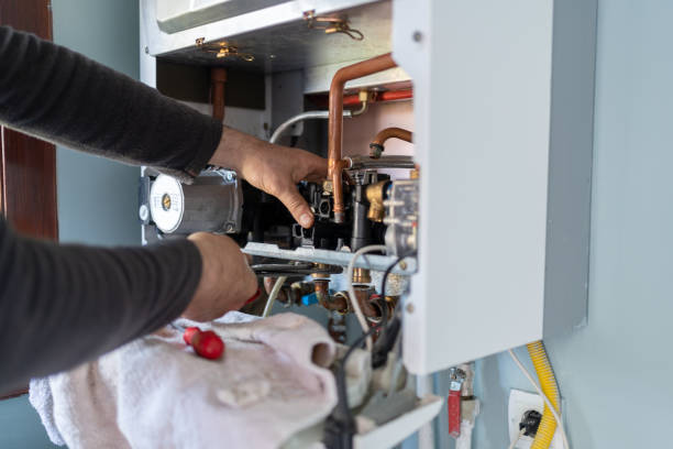Best Sprinkler Systems  in Allendale, SC